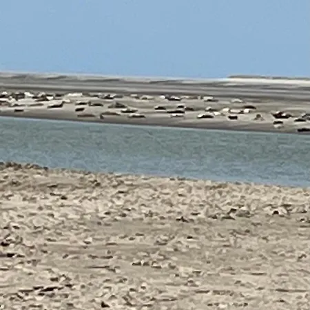 아파트 Superbe Face A La Baie Au Crotoy