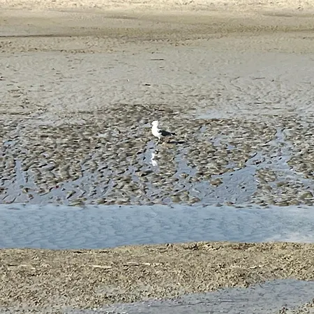 아파트 Superbe Face A La Baie Au Crotoy *